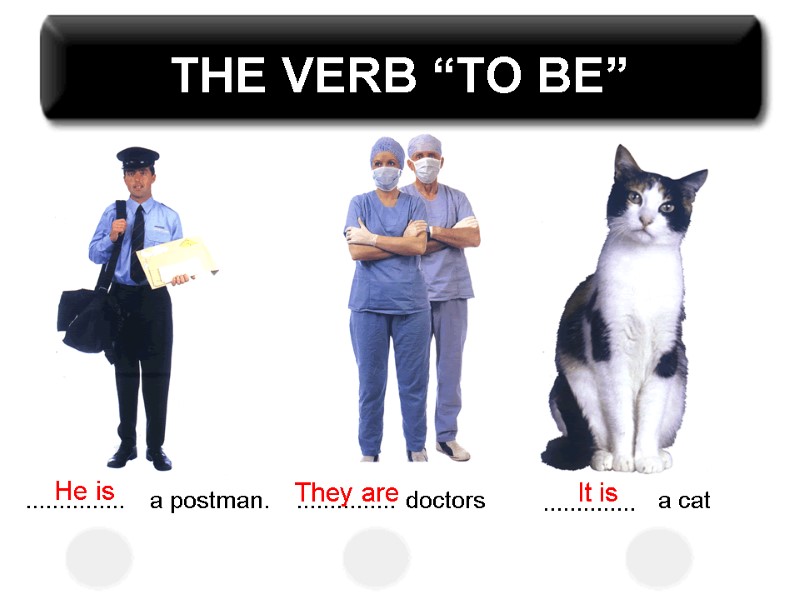 THE VERB “TO BE” ............... a postman. ............... doctors .............. a cat He is